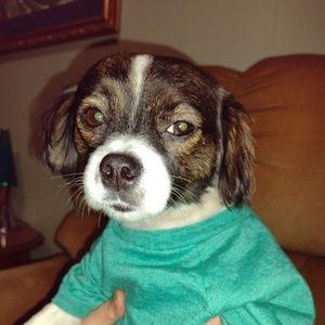 Meet your Posher, Jody